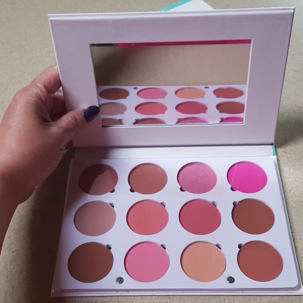 Ofra Pro Blush Pallette